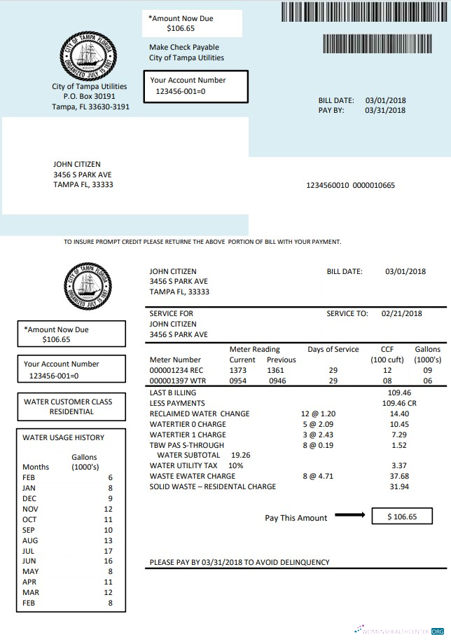 download download USA Florida water utility bill template in Word and PDF format PDF template PDF template